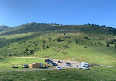 Trail Walking Aspin-Aure - Crête d’Aspin - Photo