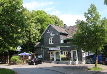 Tour Zu Fuß Wermelskirchen - Eifgen Rundweg A3 - Photo