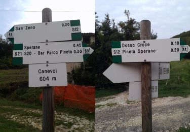 Trail On foot San Zeno di Montagna - Sentiero Natura Pineta Sperane - Photo