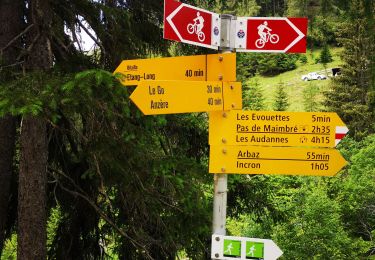 Tocht Noords wandelen Arbaz - 27.06.20 Anzère  - Photo