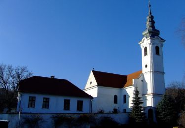 Percorso A piedi Zengővárkony - P+ Zengővárkony-Pécsvárad-Réka-völgy-Nagymányok - Photo