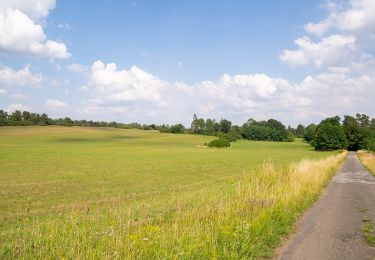 Randonnée A pied Beverungen - Galgenberg-Drenke-Selsberg - Photo