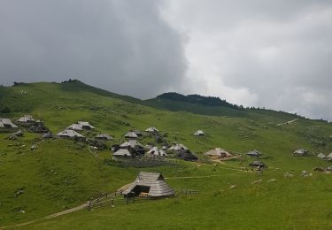Tour Wandern Stein in Oberkrain - Velika Planina - Photo