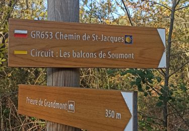 Trail Walking Saint-Privat - Abbaye de Grandmont - Photo
