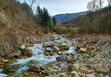 Tocht Te voet Fabbrica Curone - Lunassi – Bruggi - Photo