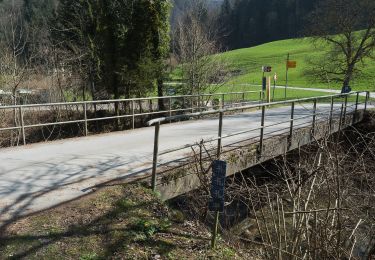 Randonnée A pied Neuheim - Höllbrücke - Dorfstrasse - Photo