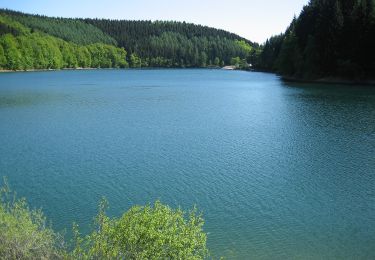 Tour Zu Fuß Gummersbach - Lantenbach Rundweg A4 - Photo