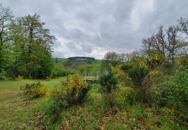 Tocht Stappen Houffalize - rando ornitho nadrin 27/05/2021 - Photo