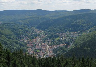 Percorso A piedi Bad Salzungen - Uhrenweg - Photo