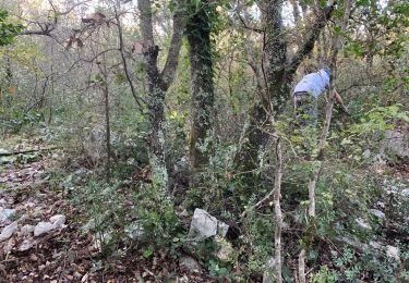 Tour Wandern Brissac - Sortie st martin avec Renaud - Photo