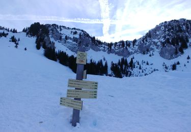Tour Schneeschuhwandern Fillière - col de l'Ovine et Croix du Puvat - Photo