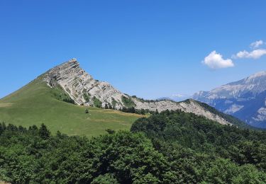 Trail Walking Tréminis - Boucle et sommet de l'Aup - Photo