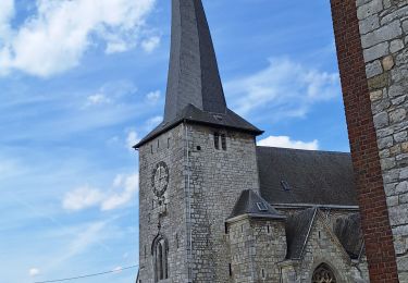 Tour Wandern Limburg - Limbourg ( promenade dans les bois) - Photo