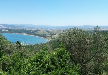 Tocht Te voet Piombino - IT-303 - Photo