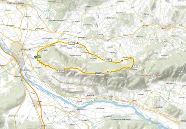 Trail Mountain bike Cavaillon - la forêt des cêdres D+930m par Ménerbes - Photo