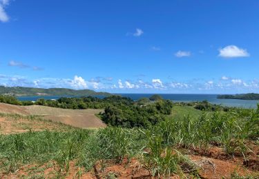 Trail Walking Le Lorrain - Lorrain - Robert via le SLNA - Photo