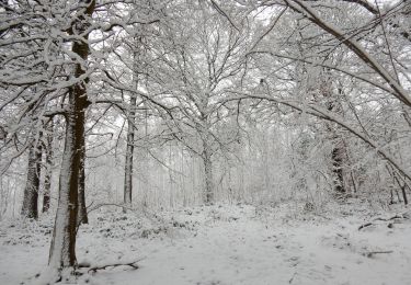 Randonnée V.T.T. Yvoir - GODINNE ... balade hivernale. - Photo