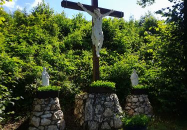 Tocht Stappen La Roche-en-Ardenne - Marche ADEPS 11km100 à  Buisson. - Photo