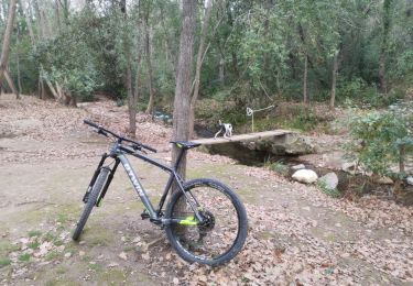 Tocht Mountainbike Nébian - entre nebian et cabrieres - Photo