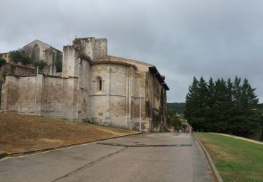 Randonnée Marche Cirauqui - Estella - Photo