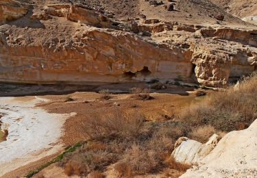 Trail On foot Ramat Negev Regional Council - IL-14181 - Photo