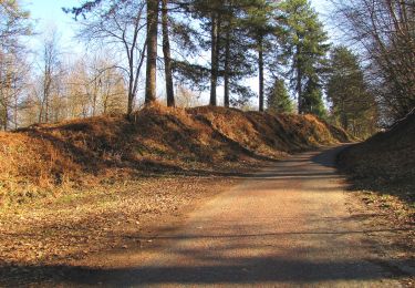 Trail Walking Retheuil - en forêt de Retz_76_dans les forêts de Retz et de Compiègne - Photo