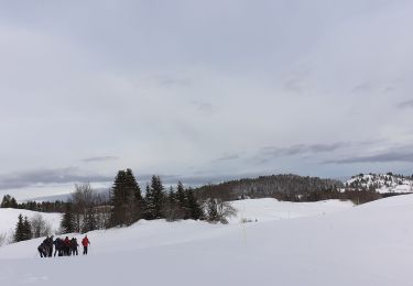 Percorso Racchette da neve La Pesse - la Pesse rando raquette neige  - Photo