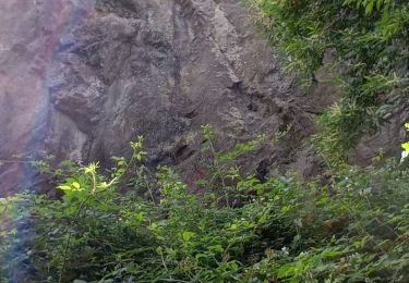 Tour Wandern Mûrs-Erigné - Mûrs Érigné - Photo