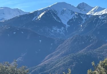 Randonnée Marche Joch - Joch - Photo