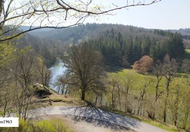 Tour Wandern Herbeumont - 2021-04-28 15:44:18 - Photo