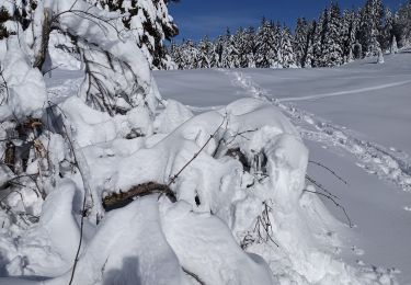 Randonnée Raquettes à neige La Pesse - L'Embossieux - Crêt de Nerbier  - Photo