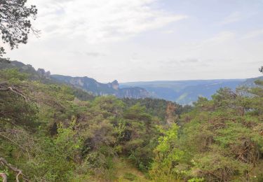 Excursión Senderismo Massegros Causses Gorges - Baousse del fiel - Photo