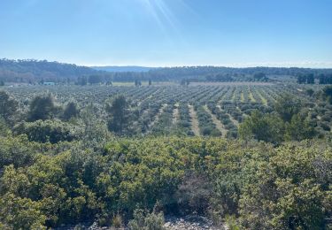 Trail Walking Aureille - Les caisses de jean jean depuis Aureille - Photo