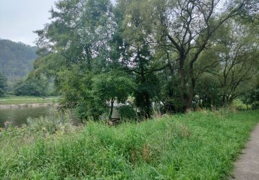 Randonnée Marche Esneux - Le long de l'Ourthe - Photo