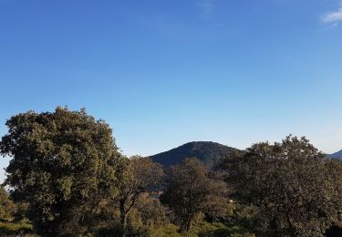 Randonnée Marche nordique Le Puech - Les Hémies St Agricol Rabejac Dec 2021 - Photo