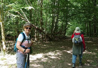 Trail Walking Bouilly - 12/06 /2020 commetruil  - Photo