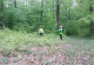 Tocht Mountainbike Saint-Clément - sortie vtt du 1er mai vathimenil Grand rupt  - Photo