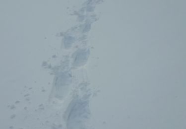Trail Snowshoes Modane - Loutraz Amodon - Photo