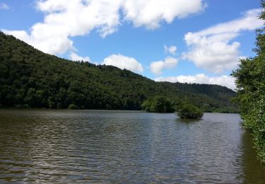 Tour Wandern Murol - L ac Chambon Château Murol - Photo