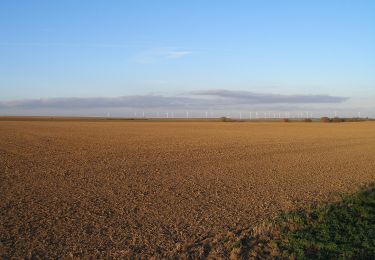 Tour Zu Fuß Querfurt - Rundweg Hermannseck - Photo