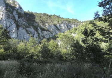 Percorso A piedi Sasca Montană - Sasca Română – Cheile Nerei (red triangle) - Photo