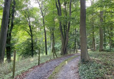 Tour Wandern Seneffe - ADEPS - Arquennes - Photo