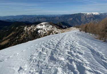 Tour Schneeschuhwandern Moulinet - Baisse Cavaline - Photo