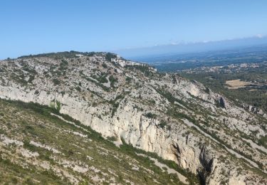 Tour Pfad Saint-Rémy-de-Provence - Footing plateau de la Caume - Photo