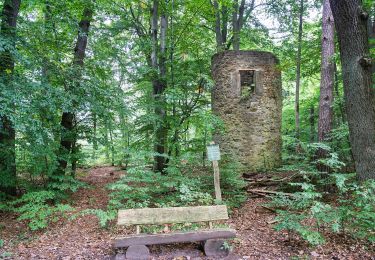 Trail On foot Oebisfelde-Weferlingen - Lappwald Rundwanderweg 16 - Photo
