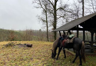 Tocht Paardrijden Paliseul - Fays les Veneurs - Auby - Photo