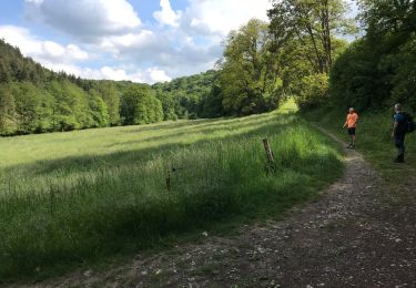 Tour Wandern Huy - Huy 20 km bois  - Photo