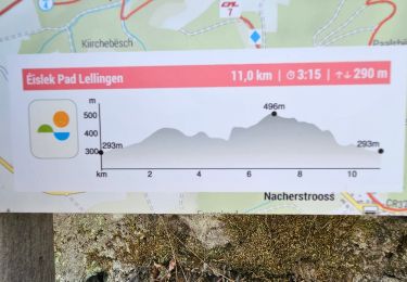 Trail Walking Kiischpelt - 2023-06-19_15h16m15_eislek-pad-lellingen-1 - Photo