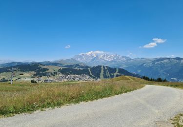 Trail Walking Villard-sur-Doron - Les tourbières par le Mont Bisanne et les Saisies  - Photo