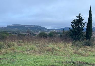 Tocht Stappen Montaud - Montais, saint Bauzille de Montmel , Montlaur - Photo